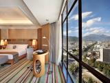 180 Degree City View Deluxe Suite