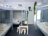 Bed in Blue Room - 6-Person Occupancy (Males only, room rate calculated per person)