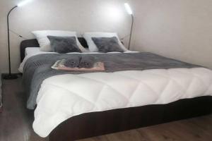 Apartments on Kirova street 206A, Abakan