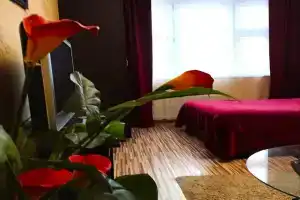 Komfortabelnaya v Zheleznodorozhnom Apartments, Zheleznodorozhnyy