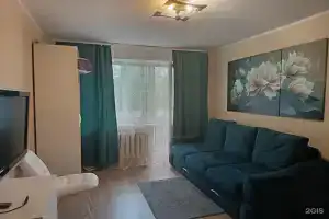 Shelkovyy put Apartments