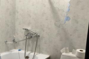 Apartamenty na Pushkina, 1, Birobidzhan