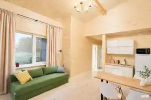 Barkovo Private house, Sviritsa