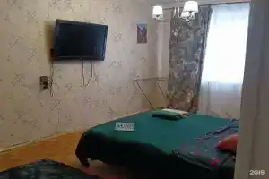 Apartamenty na Tsentralnaya ulitsa, 10A, Frjasino