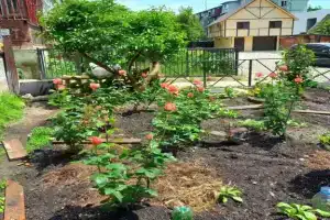 Chernomorskaya Rivera Cottage, Stary Oskol