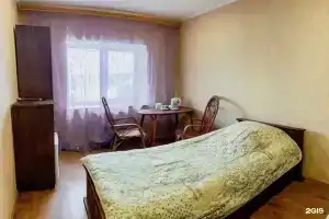 Zelyony Shum Guest House, Noginsk