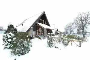 Sloboda Cottage, Schekino