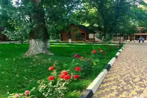 Recreation center Dubovaya Roshcha, Volgograd