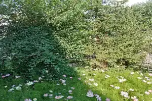 Irkut Mini-hotel, Ulan-Ude