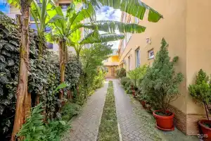 Gold Project Elena Guest house, Brykin Bor