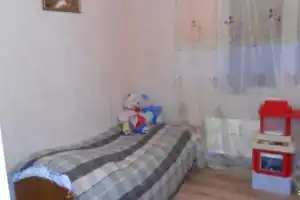 Guest house Yulia, Terebochevo