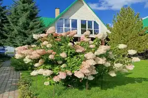 Guest house, Nizhnekayancha