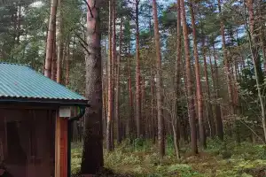 Oleniy bor Camping, Kaliazin