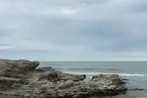 Pandur Kikuni Hostel, Voronezh