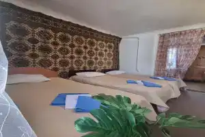 Domik- u parka Apartments