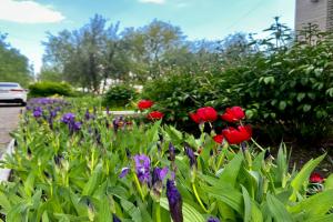 Dom inostrannyh spetsialistov Cottage, Nizhnekamsk