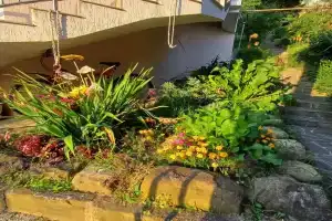 Semeynyy Mamont Guest house