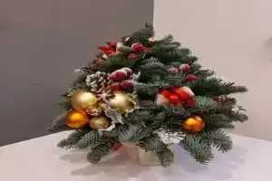 Dom v nayom Cottage, Kirovsk