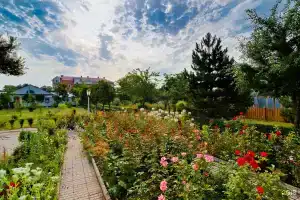 Zvezdochka Hotel, Anapa