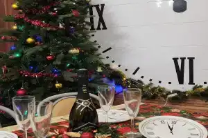 Vishnevaya gorka Apartments, Polasna