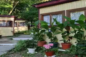 Tourist bases Tourist bases