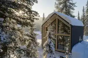 Green house, Krasnoyarsk