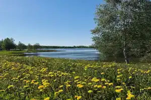 Ferma moey mamy Farm, Kurovskoye