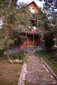 Plescheevo Recreation camp - 74