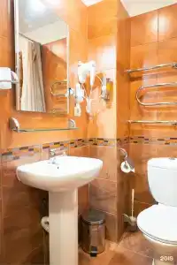 Amaks Premer Perm - 69