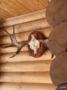 Klub Tikhaya Zavod Tourist base - 74