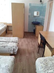 Gostinitsa Birsk - 90