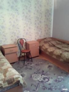 Gostinitsa Birsk - 73