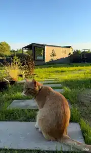 Domiki i doski Tourist base - 59