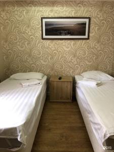 Patio Mini-Hotel - 54