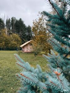 Domiki i doski Tourist base - 70