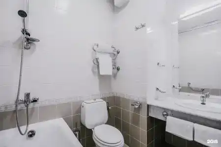 Zelenyij Gaj Sanatorium - 82