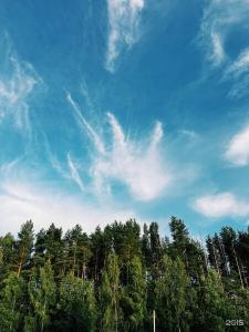 Domiki i doski Tourist base - 65