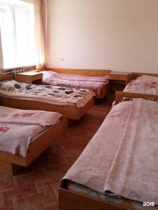 Gostinitsa Birsk - 92