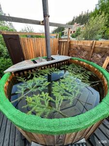 Uralskij Teremok - 208