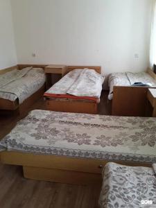 Gostinitsa Birsk - 91