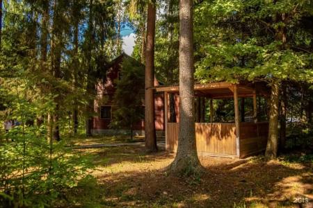 Plescheevo Recreation camp - 52