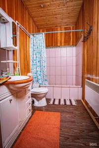 Plescheevo Recreation camp - 73