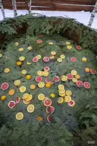 Barskie polya Tourist base - 72