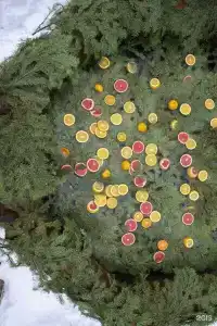 Barskie polya Tourist base - 123