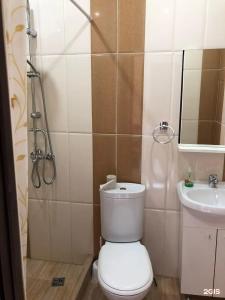 Akhtamar Mini-Hotel - 53