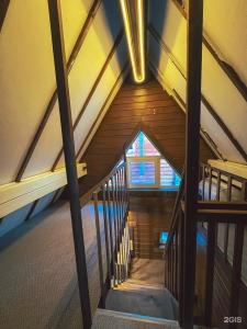 Uralskij Teremok - 241