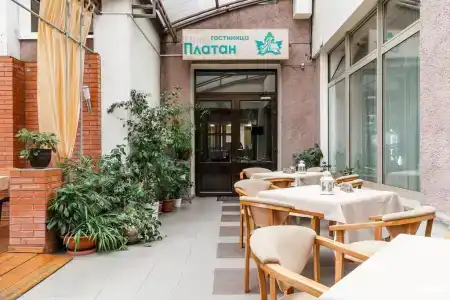 Platan - 36