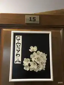 Galereya - 65
