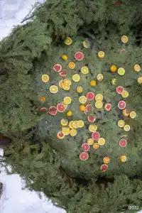 Barskie polya Tourist base - 254