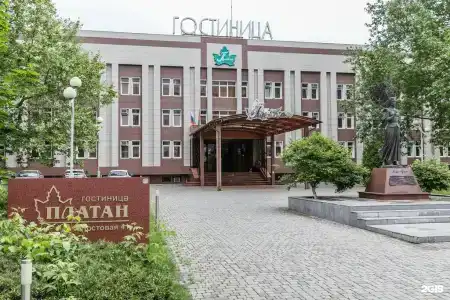 Platan - 44